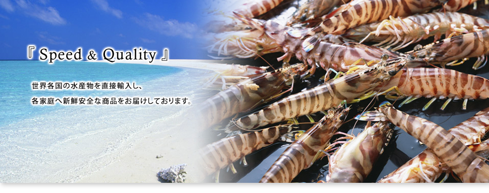『Speed&Quality』世界各国の水産物を直接輸入し、各家庭へ新鮮安全な商品をお届けしております。